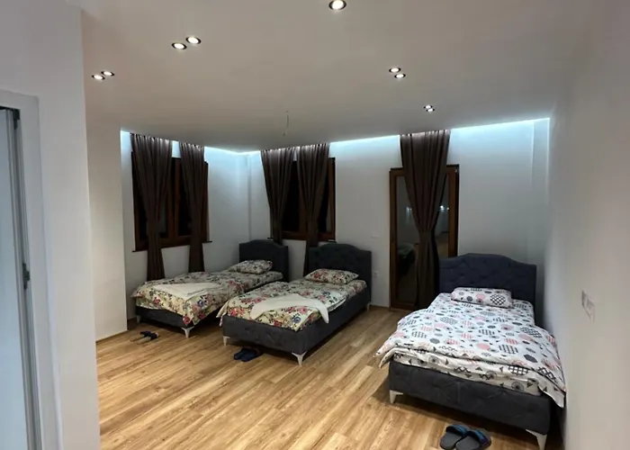 Dritan Selimaj Guest house