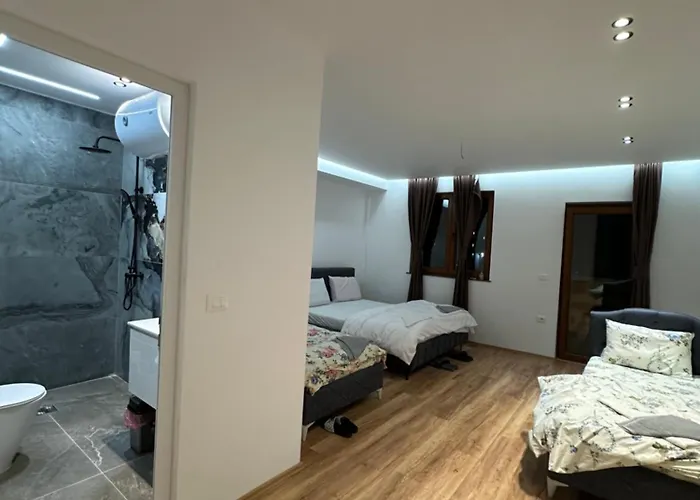 Dritan Selimaj Guest house *